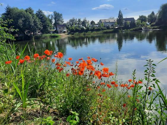 Forteca, Pokoje Goscinne Nad Stawem Dzierżoniów Екстериор снимка